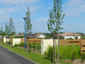 Lotissement d’habitations – Grenade-sur-L’Adour (40)